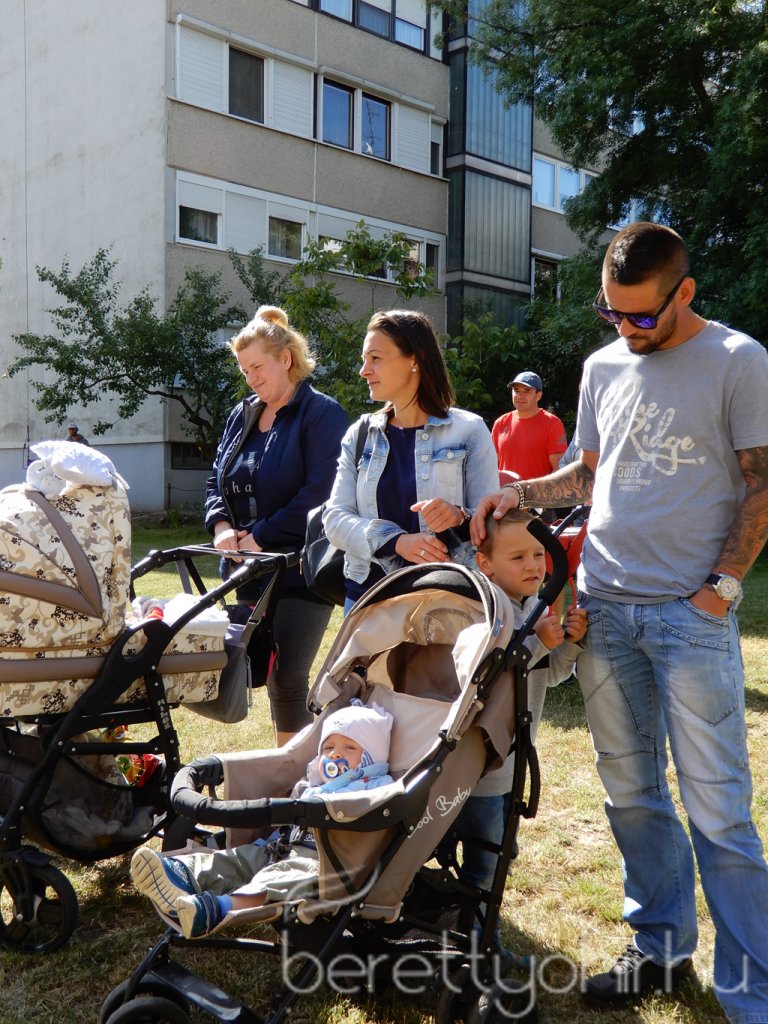 Életfa ültetés a város napján 07